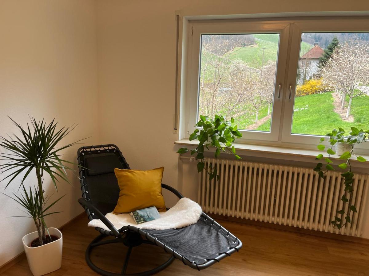 Apartmán Revier No11 Durbach Exteriér fotografie